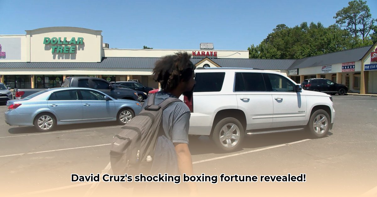 david-cruz-boxer-net-worth